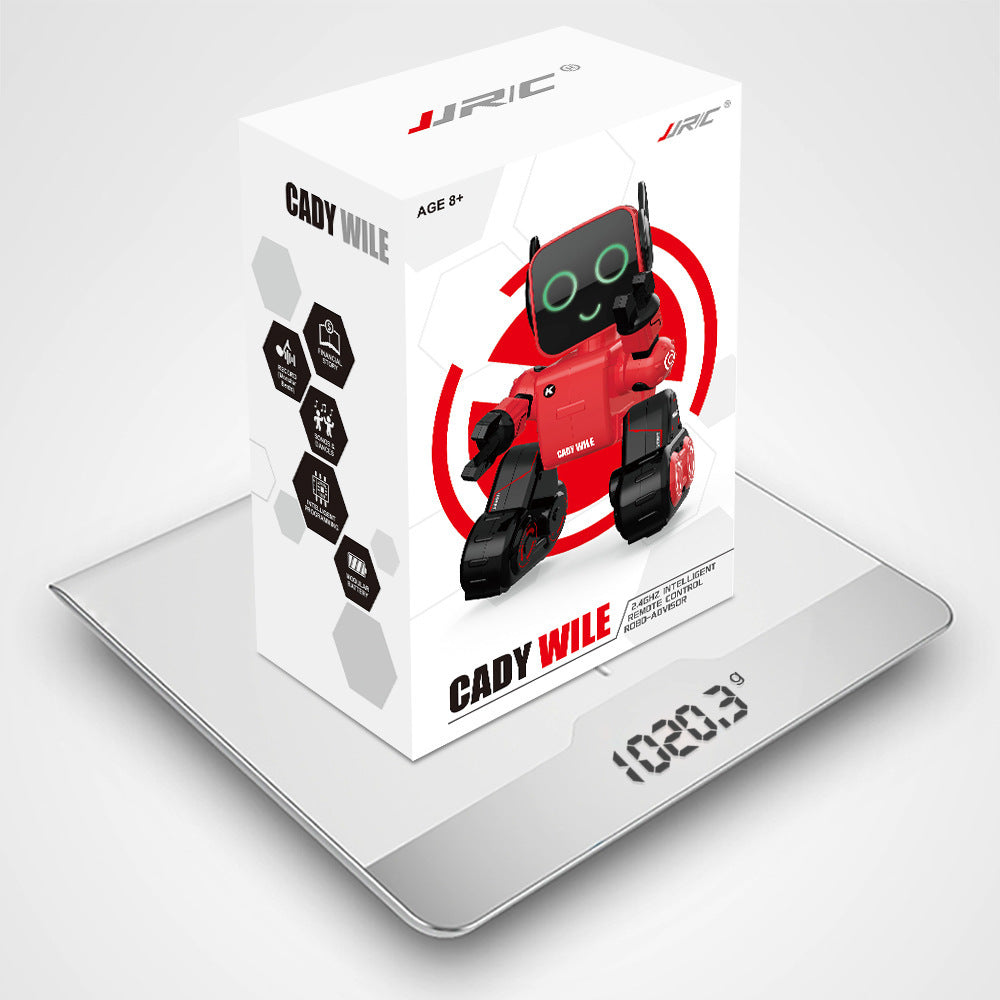 Interactive Remote Control Robot Advisor Cady Wile