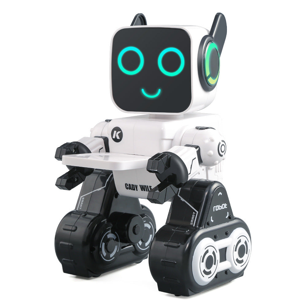 Interactive Remote Control Robot Advisor Cady Wile