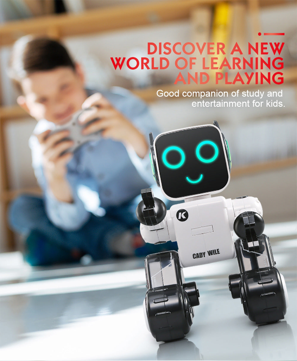 Interactive Remote Control Robot Advisor Cady Wile